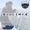 Thumbnail of related posts 071
